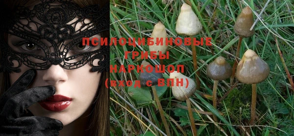 mix Новозыбков